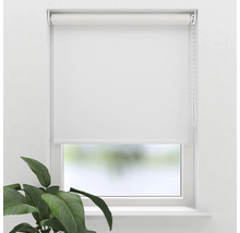 Rulou albă la fereastră cu plantă în cameră