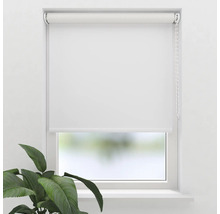 Rulou albă la fereastră cu lanț de tragere și plantă