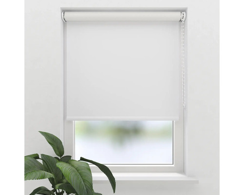 Rulou albă la fereastră cu lanț de tragere și plantă