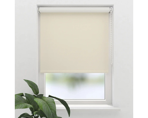 Fereastră cu jaluzea rulou închisă și plantă