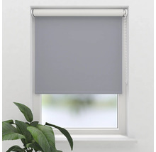 Rulou gri pe fereastră cu plante în cameră