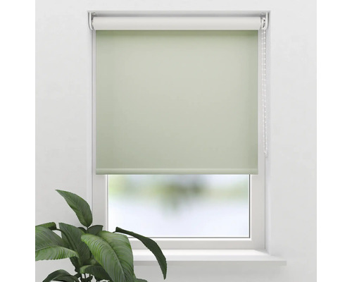 Rulou verde pentru fereastră pentru umbrire și intimitate