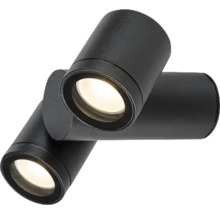 Plafonieră LED neagră cu două spoturi