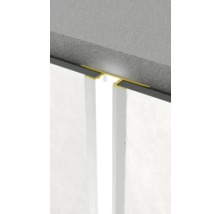 Prim-plan cu profil de rost de dilatare între două elemente de construcție.