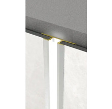 Profil de rost de dilatare între perete și tavan.