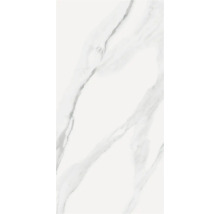 Model de faianță cu aspect de marmură