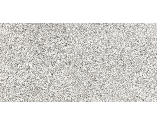 Gresie exterior / interior porțelanată glazurată rectificată Granito Gris 60x120 cm Prim-plan cu o placă de granit gri deschis cu granulație fină