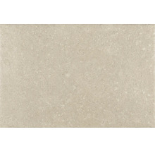 Placă ceramică cu suprafață mată