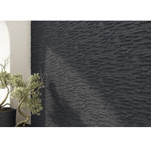 Design interior cu placaje de piatră pe perete