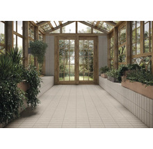 Imagine de interior a unei grădini de iarnă cu plante, podea cu gresie și elemente din lemn.