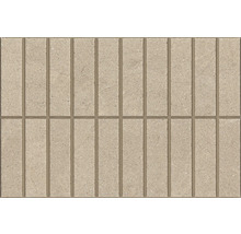 Pavele dreptunghiulare în model