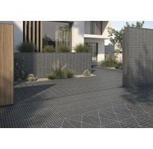 Exterior cu pavaj, decor și plante