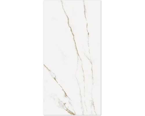 Placă ceramică cu aspect de marmură și granulație