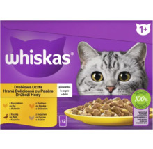 Whiskas hrană pentru pisici cu carne de pasăre pentru pisici de la un an