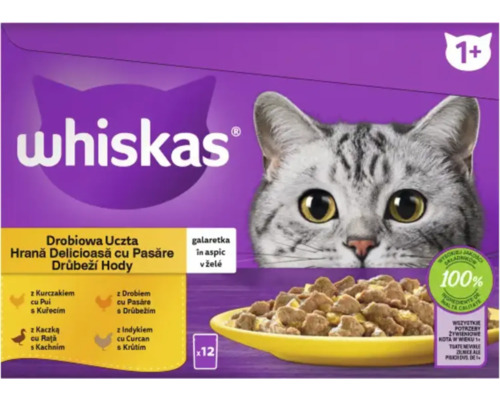 Whiskas hrană pentru pisici cu carne de pasăre pentru pisici de la un an
