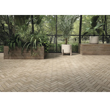 Interior cu podea din cărămidă în model herringbone și jardiniere