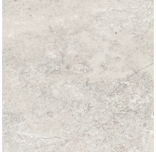 Model de placă de pardoseală deschisă la culoare din gresie