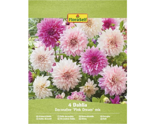 FloraSelf Amestec de dalii decorative Pink Dream, patru bucăți