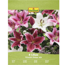 Pachet de crini Amestec Oriental Deluxe