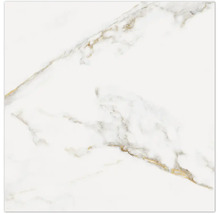 Placă ceramică cu structură de marmură