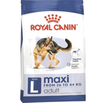 Royal Canin Maxi Adult hrană pentru câini de talie mare de la 26 la 44 kilograme