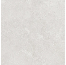 Placă de pardoseală deschisă la culoare, mată, cu o structură ușoară