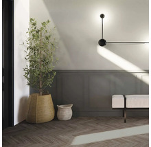 Interior decorativ cu plantă de interior, coș și lampă de perete