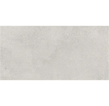 Model de faianță din ceramică