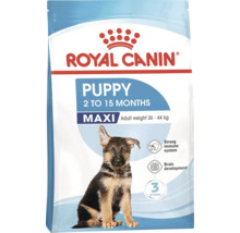 Hrană pentru căței Royal Canin Puppy Maxi pentru căței de la 2 la 15 luni, cu o greutate de 26-44 kilograme.