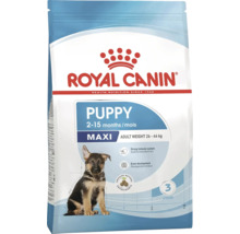 Hrană pentru căței Royal Canin pentru câini de talie mare cu o greutate de 26 până la 44 de kilograme la maturitate