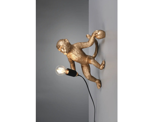 Aplică perete interior Trio Louy E27 max. 1x15W, auriu Lumină de perete cu maimuță aurie cu bec