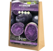 Cartofi de sămânță Vitanoir în sac