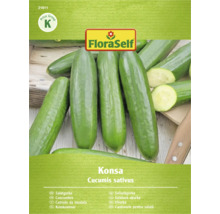 Castravete pentru salată, soiul Konsa, Cucumis sativus, de la FloraSelf