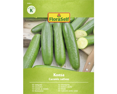 Castravete pentru salată, soiul Konsa, Cucumis sativus, de la FloraSelf