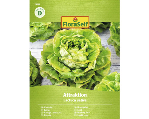 FloraSelf salată verde Attraktion pachet de semințe