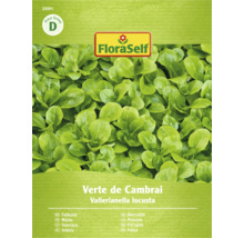 Pachet semințe salată verde FloraSelf
