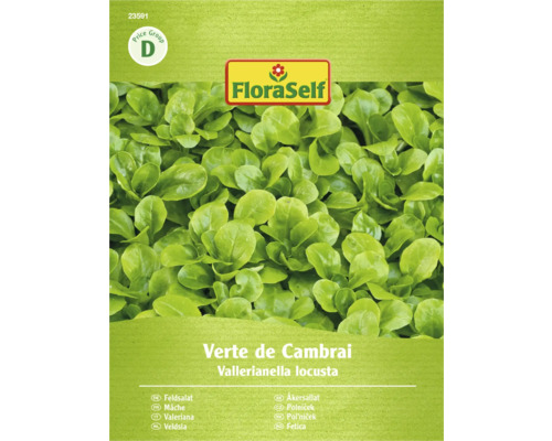 Pachet semințe salată verde FloraSelf