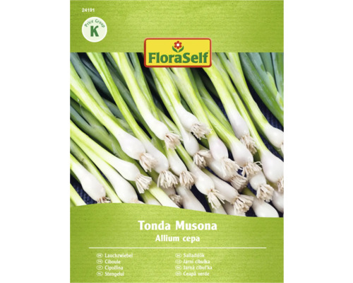 FloraSelf Ceapă verde Tonda Musona Pachet de semințe
