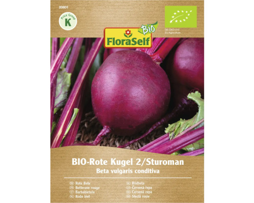 Pachet de semințe de sfeclă roșie bio Kugel 2 Sturoman