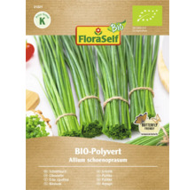 Pachet semințe bio de arpagic