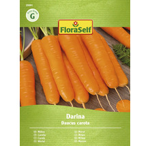 FloraSelf morcov Darina pachet de semințe