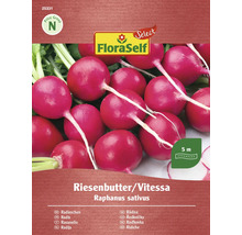 FloraSelf Pachet de semințe de ridichi Riesenbutter/Vitessa