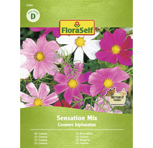 Pachet de semințe FloraSelf Cosmos bipinnatus Sensation Mix