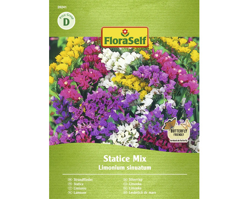 Pachet cu semințe de flori Statice Mix de la FloraSelf