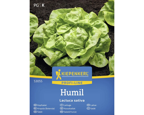 Semințe salată verde Kiepenkerl Humil