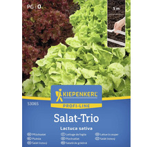 Pachet de semințe Kiepenkerl Salat Trio