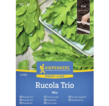Pachet de semințe Kiepenkerl Rucola Trio