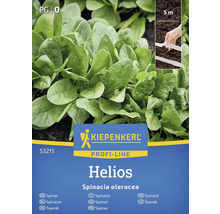 Kiepenkerl Profi-Line Helios pachet de semințe de spanac