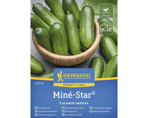 Semințe legume Kiepenkerl castravete snack Mine-Star Kiepenkerl Miné-Star pachet semințe castraveți snack