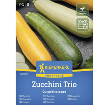 Pachet de semințe Kiepenkerl Zucchini Trio